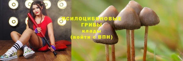 jwh Абаза