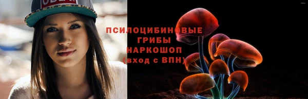 jwh Абаза